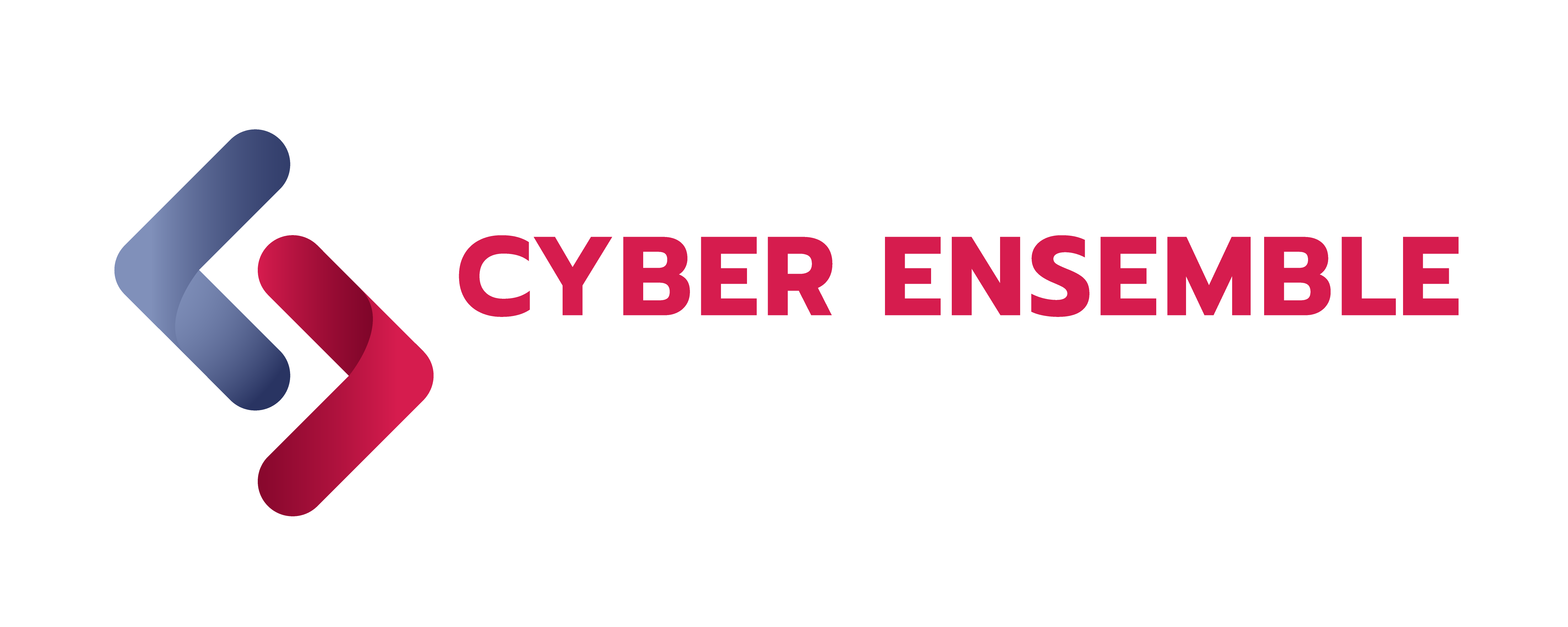 Cyber Ensemble Outsourcing Services Inc